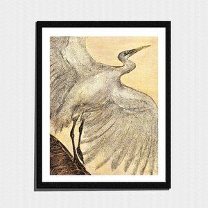 Art Print, Crane Bird Sketch